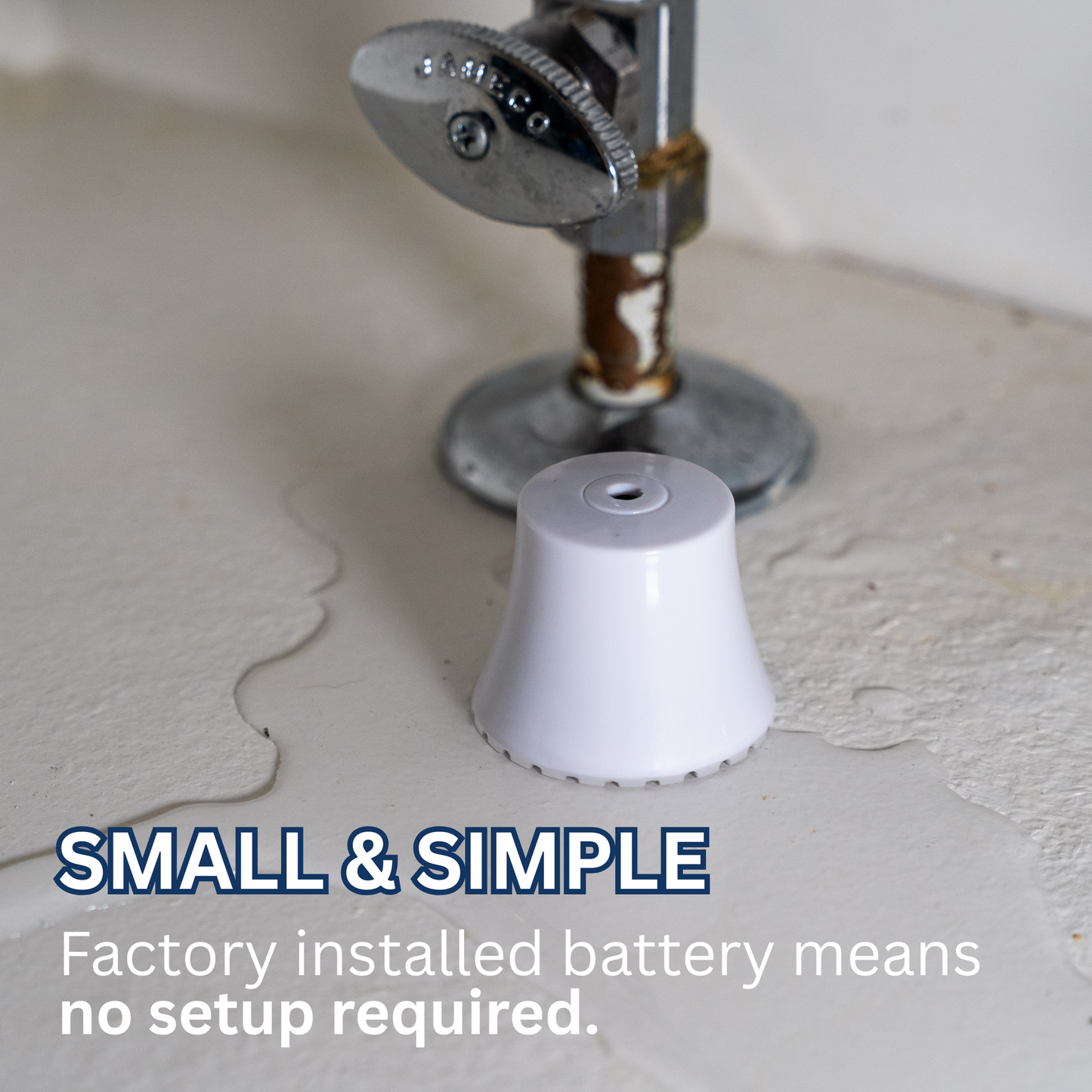 Flood Buzz® Small: Smaller Version of our Flagship Flood Buzz® Pro - Quarter and Full Case
